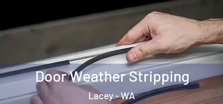 Door Weather Stripping Lacey - WA