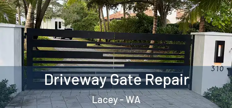 Driveway Gate Repair Lacey - WA