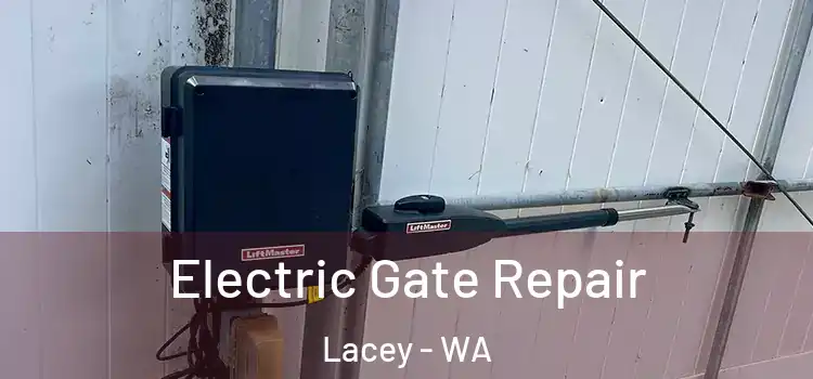 Electric Gate Repair Lacey - WA