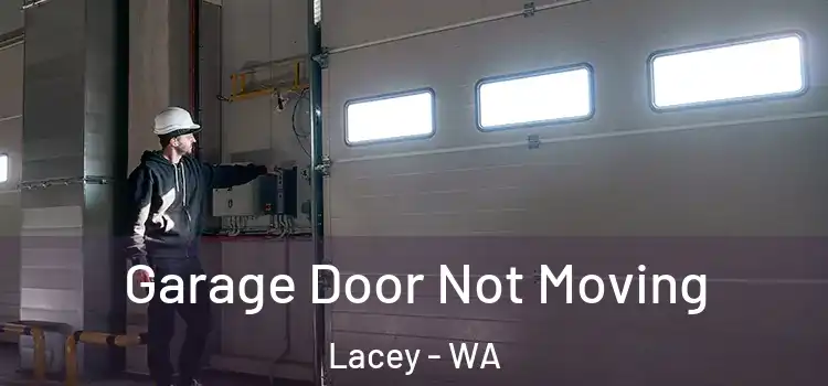  Garage Door Not Moving Lacey - WA