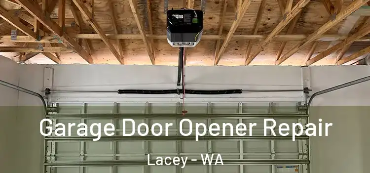  Garage Door Opener Repair Lacey - WA