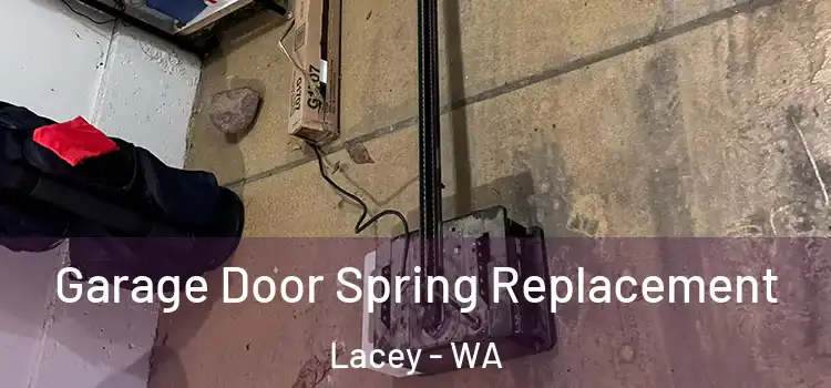  Garage Door Spring Replacement Lacey - WA