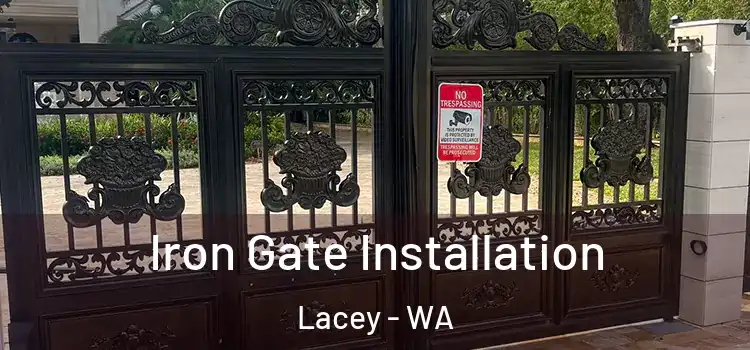 Iron Gate Installation Lacey - WA