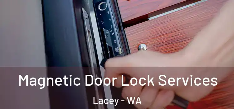 Magnetic Door Lock Services Lacey - WA