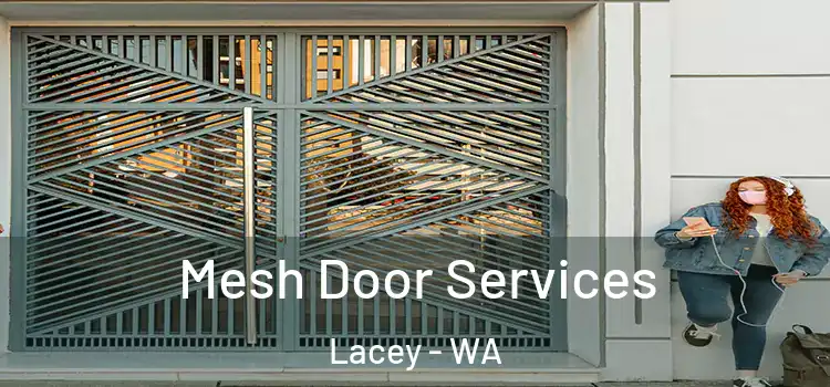 Mesh Door Services Lacey - WA
