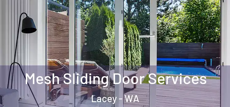 Mesh Sliding Door Services Lacey - WA