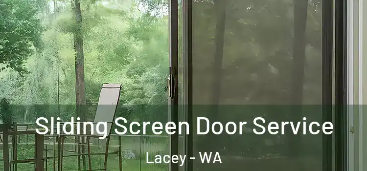 Sliding Screen Door Service Lacey - WA